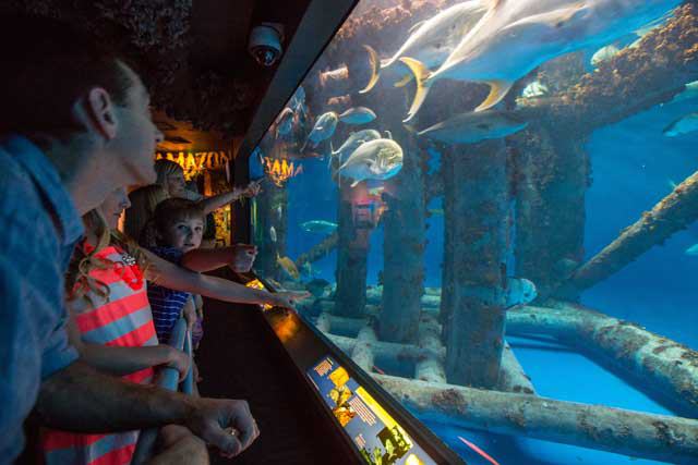 Texas State Aquarium
