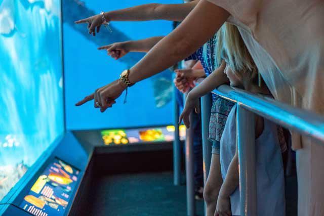 Texas State Aquarium
