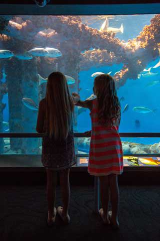 Texas State Aquarium