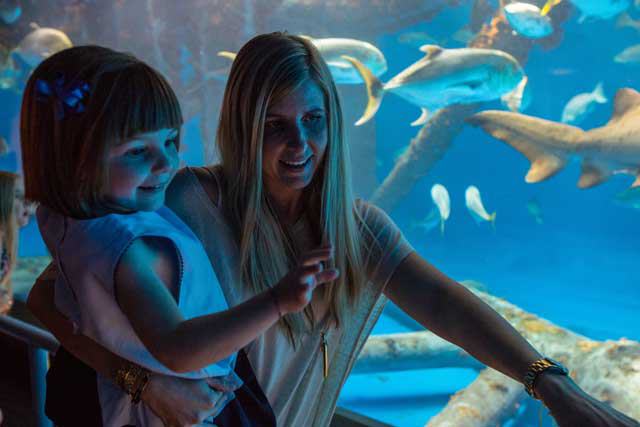 Texas State Aquarium
