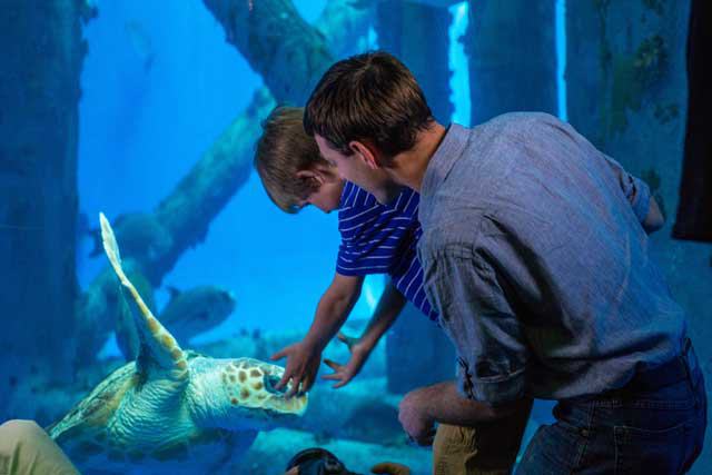 Texas State Aquarium