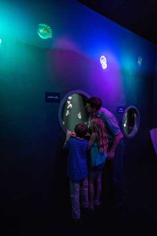 Texas State Aquarium