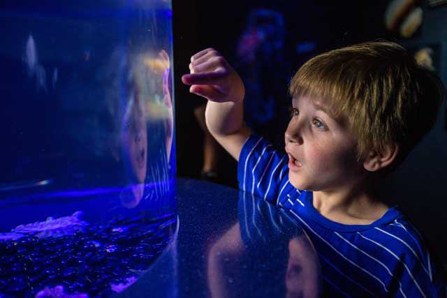 Texas State Aquarium