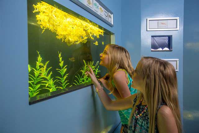 Texas State Aquarium