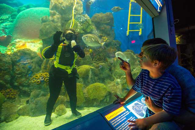 Texas State Aquarium
