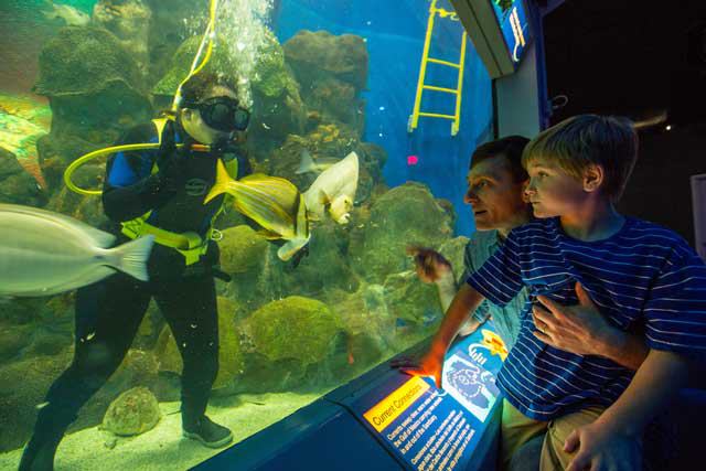 Texas State Aquarium