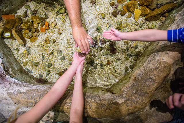 Texas State Aquarium