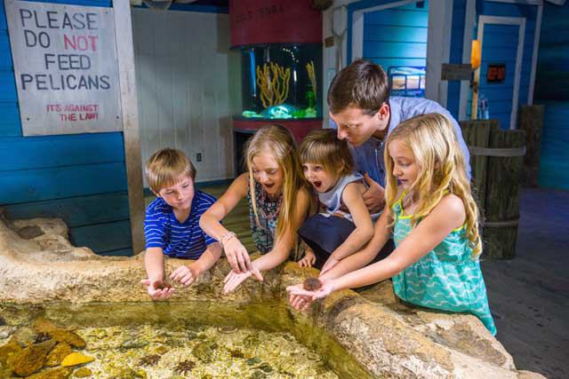 Texas State Aquarium