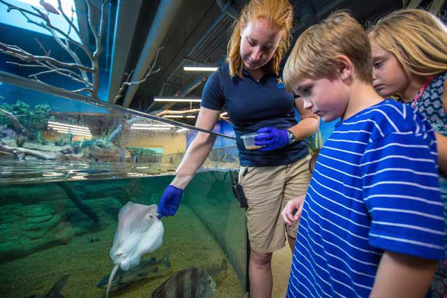 Texas State Aquarium
