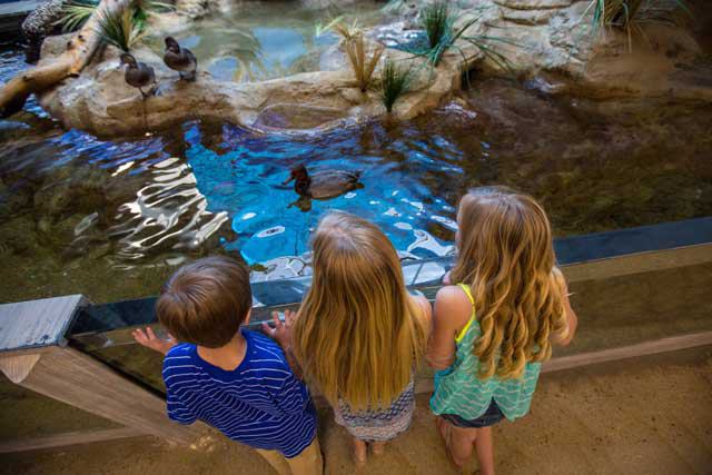 Texas State Aquarium
