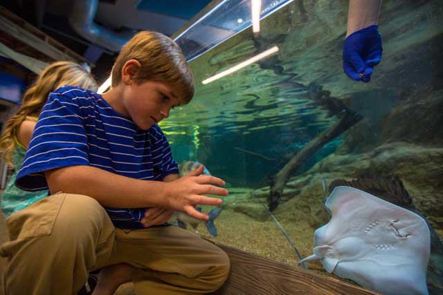 Texas State Aquarium