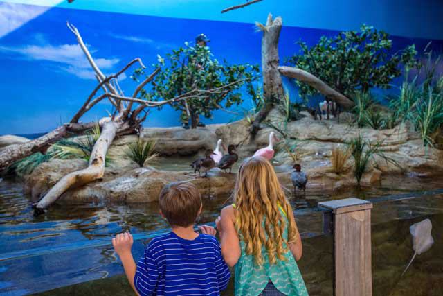 Texas State Aquarium