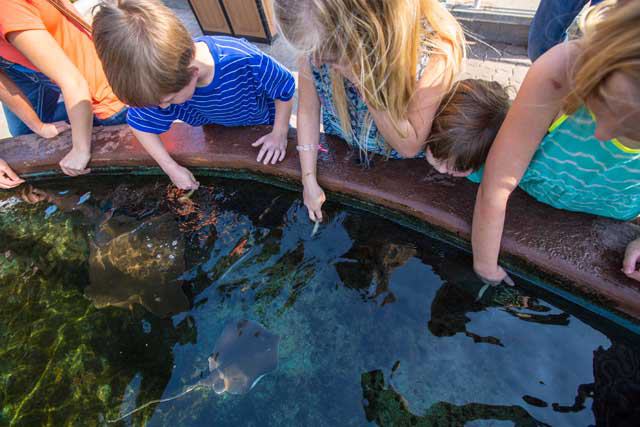 Texas State Aquarium