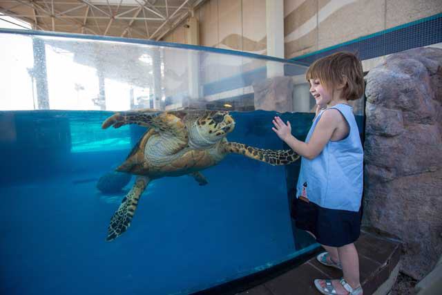 Texas State Aquarium