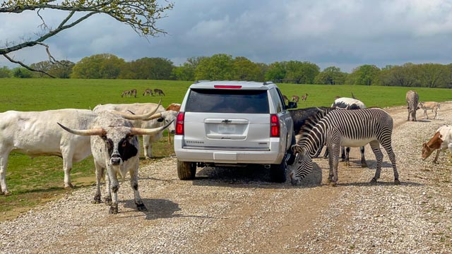 Texas Zoofari Park