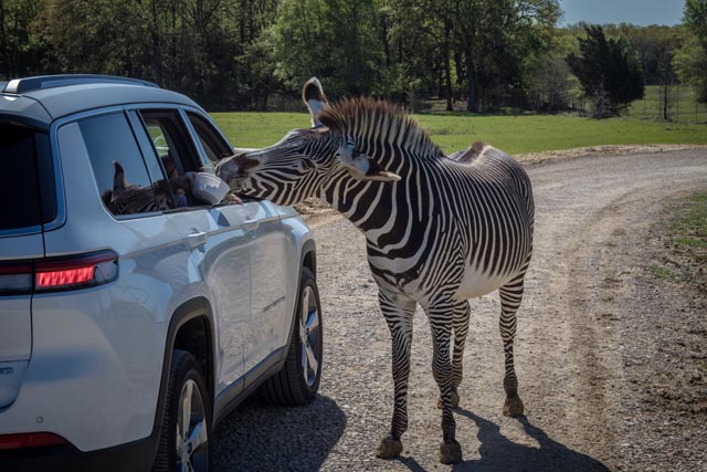 Texas Zoofari Park