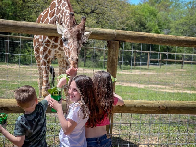 Texas Zoofari Park