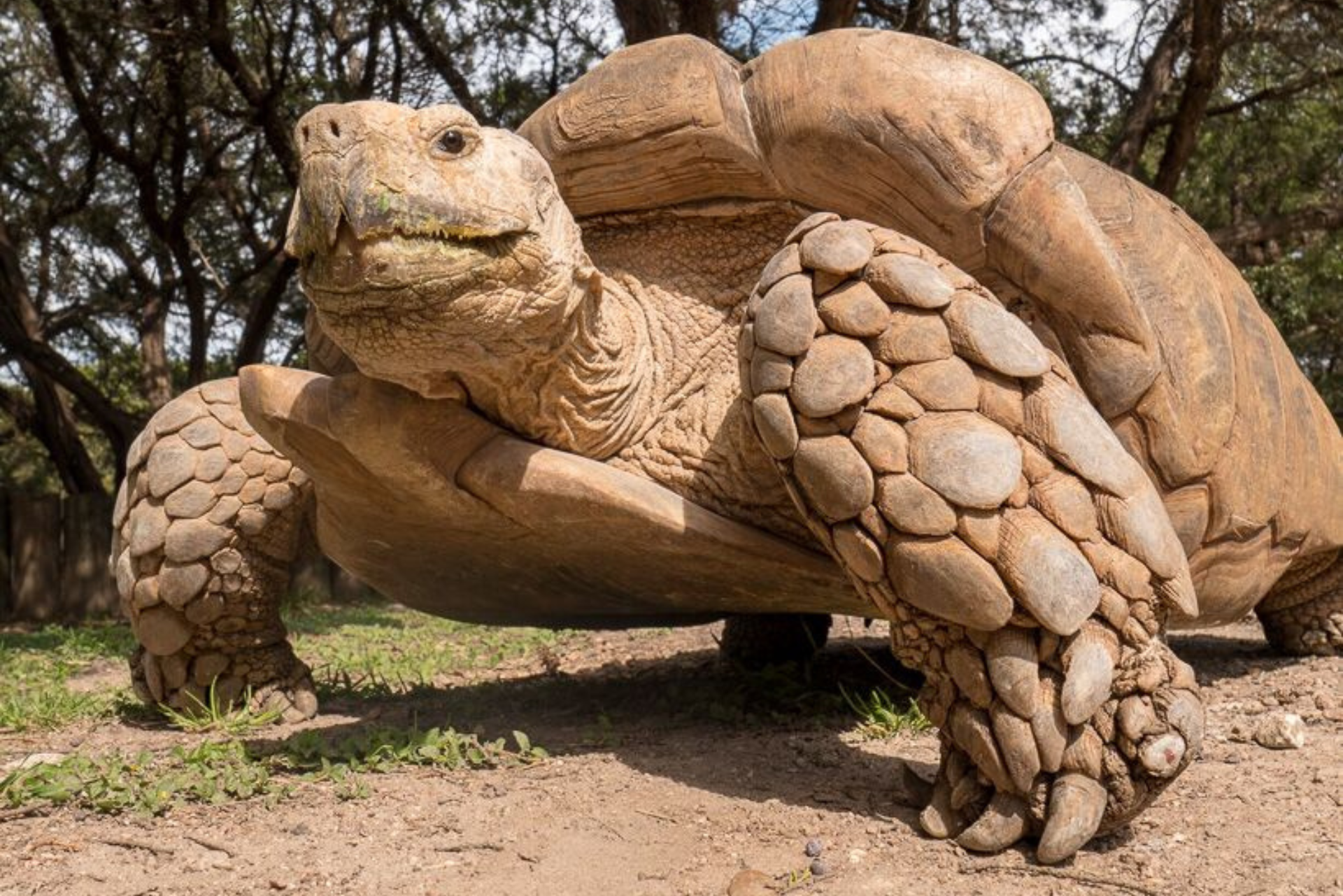 Austin Zoo