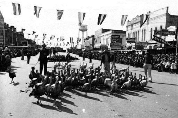 turkey trot cuero
