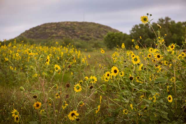 Uvalde County