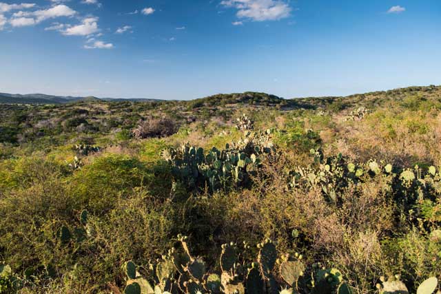 Uvalde County