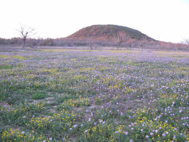 Uvalde, Texas