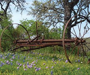 texas hill country tour trail
