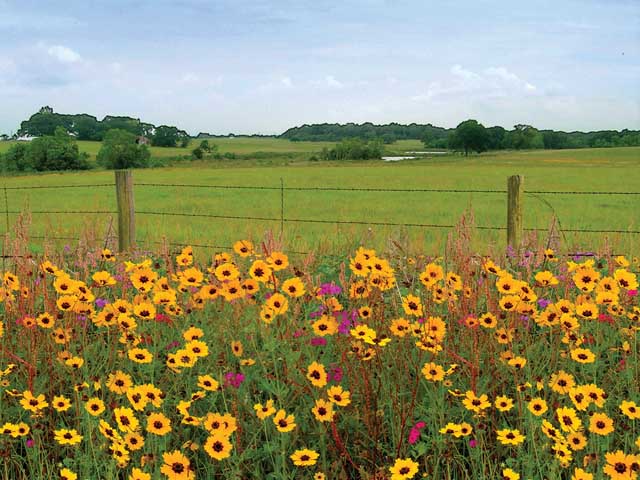 Austin County, Texas