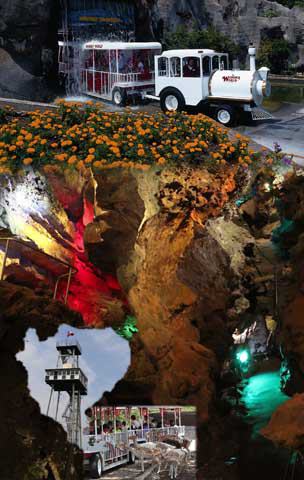 Wonder World Park