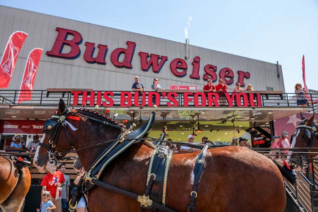 Budweiser Brewery Experience