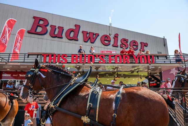 budweiser tour houston