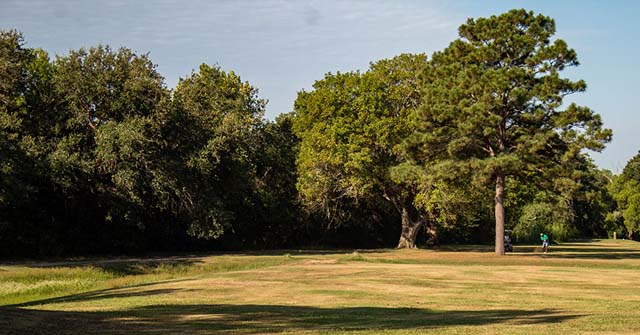 Alvin, Texas