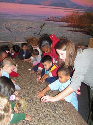 Museum of The Gulf Coast 