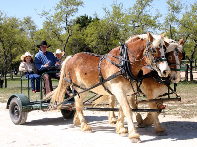 Rancho Cortez
