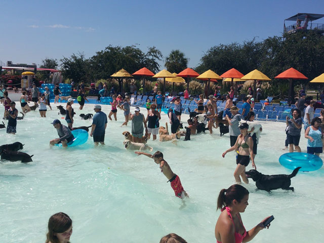 The Colony, Texas