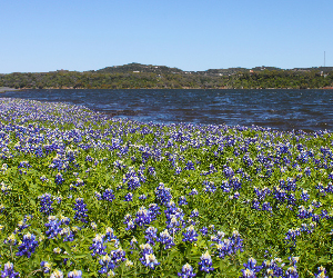 texas hill country tour trail