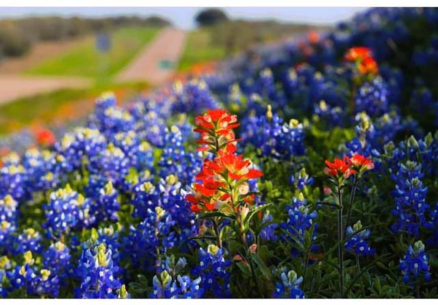 Cuero, Texas