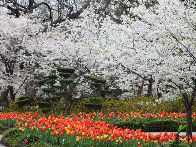 Dallas Arboretum and Botanical Garden