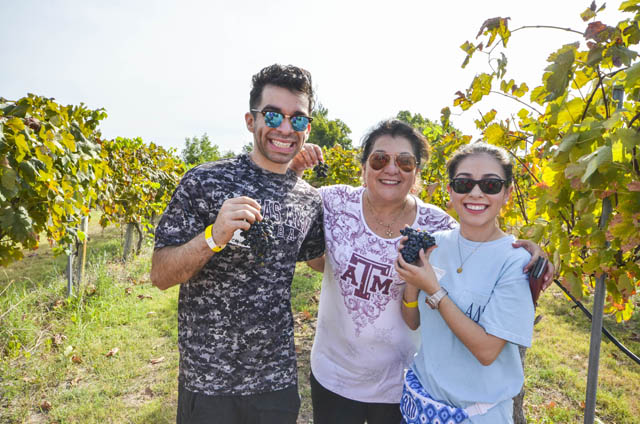 Messina Hof Winery