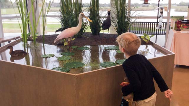 Delores Fenwick Nature Center