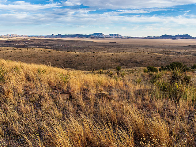 Fort Davis, Texas