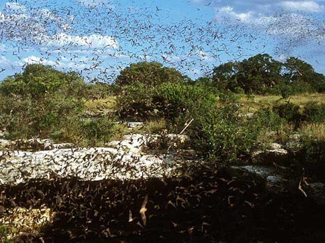 Texas State Parks near San Antonio