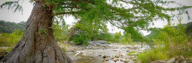 Destination Dripping Springs