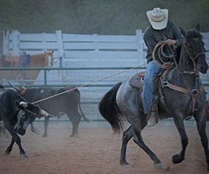 texas hill country tour trail