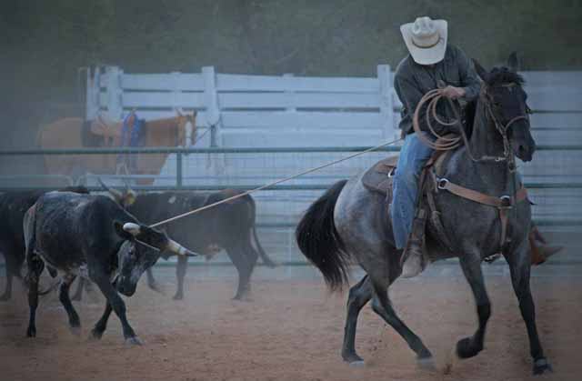 Destination Dripping Springs