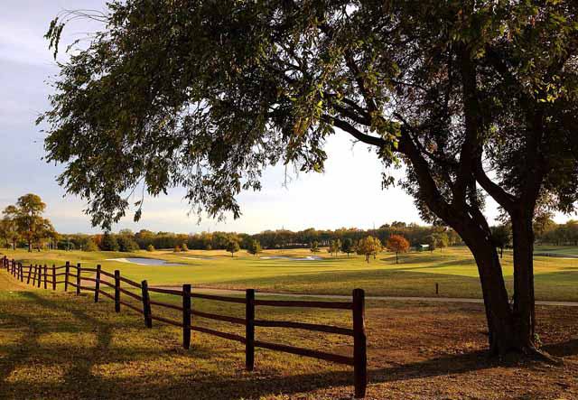 Visit Garland