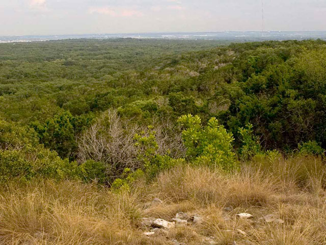 Texas State Parks near San Antonio