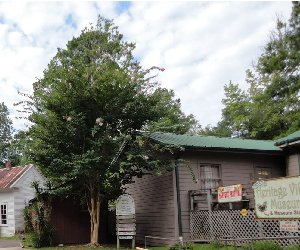 Heritage Village Museum