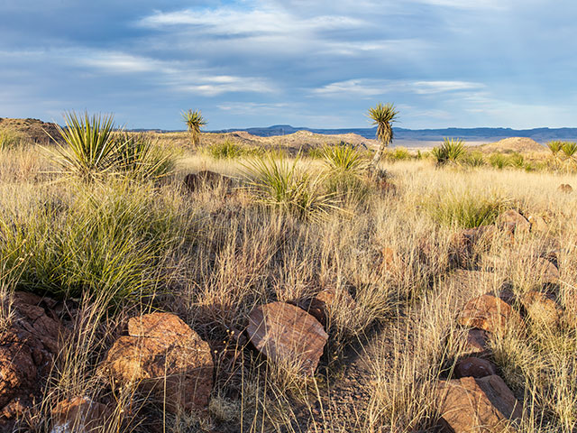 Fort Davis, Texas