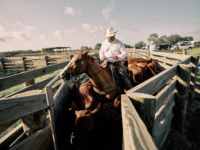 Kingsville, Texas